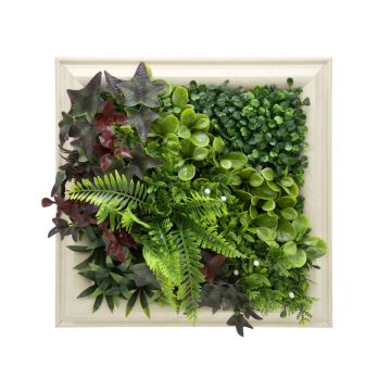 Artificial Green Walls - Framed Panel - Latona