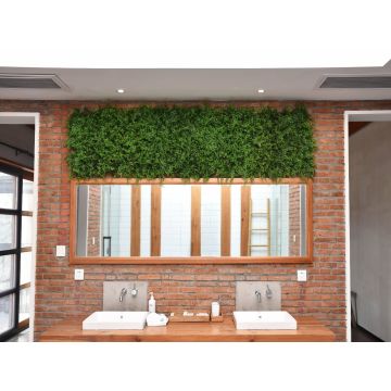 Artificial Living Walls - Hegde Mats - Fern